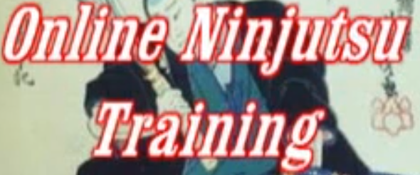 κανάλι ninja