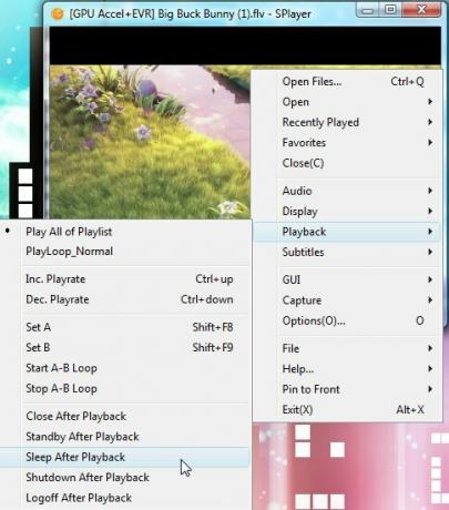 Splayer - Φορητό Play-All Media Player για Windows 4