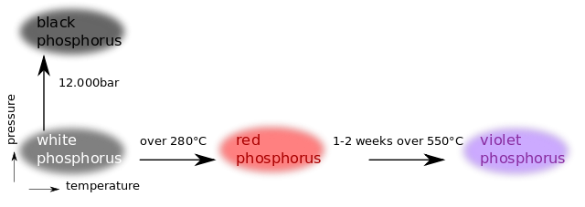 Φωσφόρος-Allotropes.svg