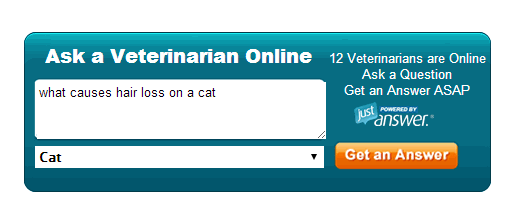 petmd-ask-a-vet-online