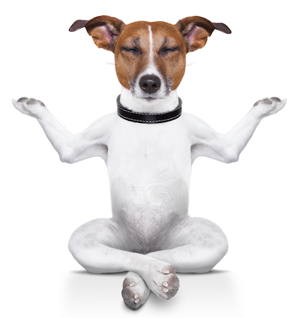 8 Μικρά Tweaks για ένα Instant Minimalist Browser Εμπειρία meditatingdog