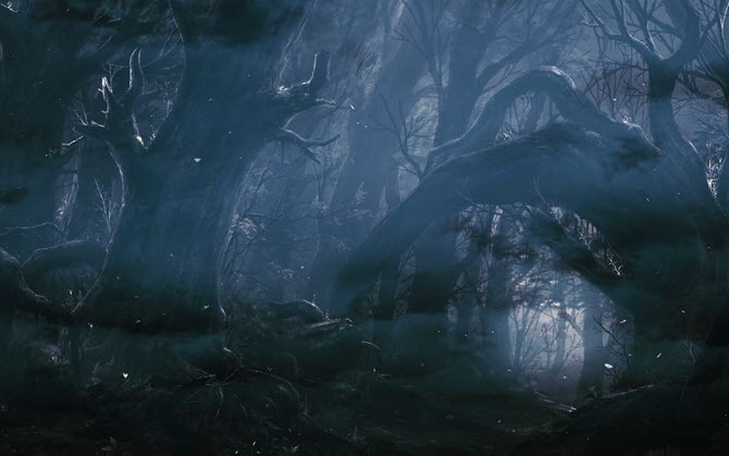 Ταπετσαρία Dark Forest από το WallHaven