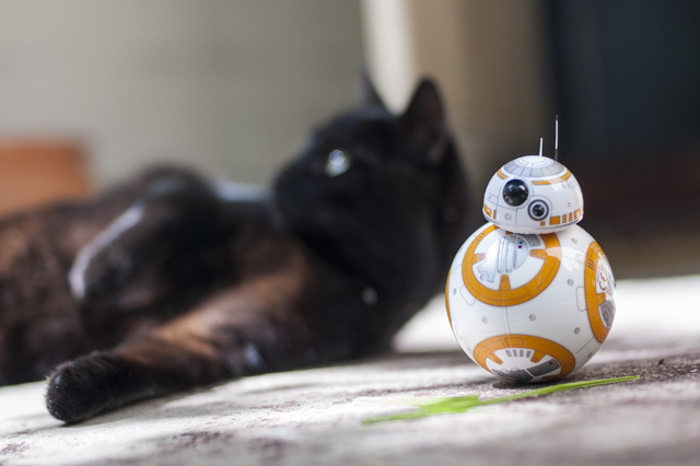 Feline the Force: Sphero Star Wars BB-8 Επανεξέταση και Δώρο DSC 0033