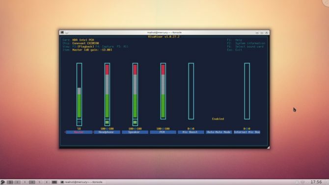 Gentoo-2