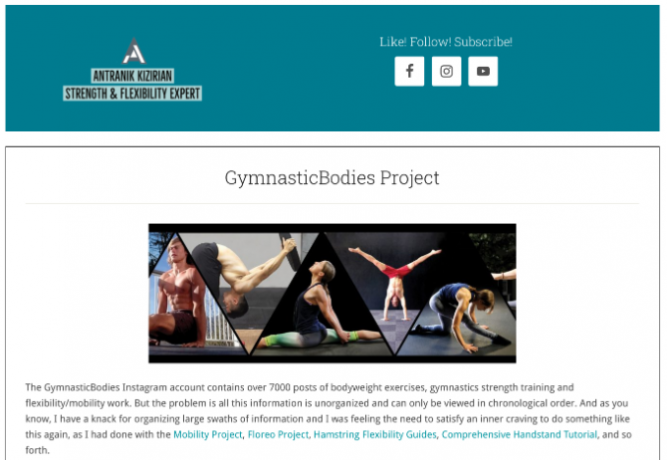 Το έργο GymnasticBodies είναι μια οργανωμένη συλλογή από τις καλύτερες θέσεις από το λογαριασμό GymnasticBodies Instagram για εύκολη περιήγηση