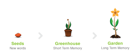Memrise-Garden-Process να μάθουν μια ξένη γλώσσα
