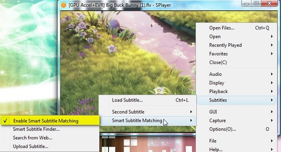 Splayer - Φορητό Play-All Media Player για Windows 6