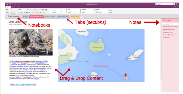 Παρουσιάστηκε παράδειγμα του οργανισμού OneNote