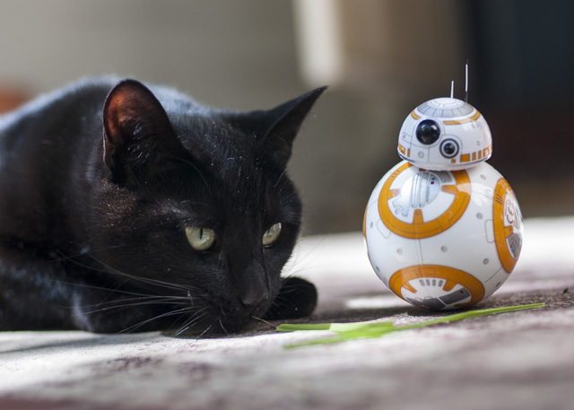 Feline the Force: Sphero Star Wars BB-8 Ανασκόπηση και Δώρο DSC 0034