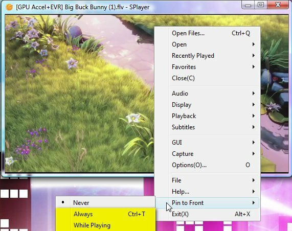 Splayer - Ένα φορητό πρόγραμμα αναπαραγωγής πολυμέσων Play-All για Windows 8b
